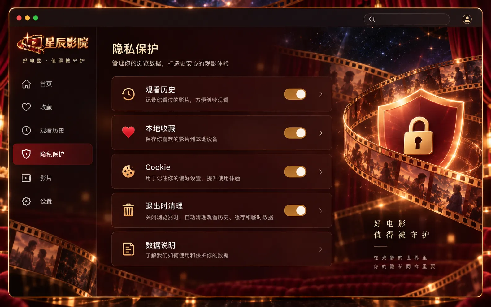 星辰影院浏览工具隐私设置界面 · 知道哪些记录留在本地，也知道怎样清理主题图2
